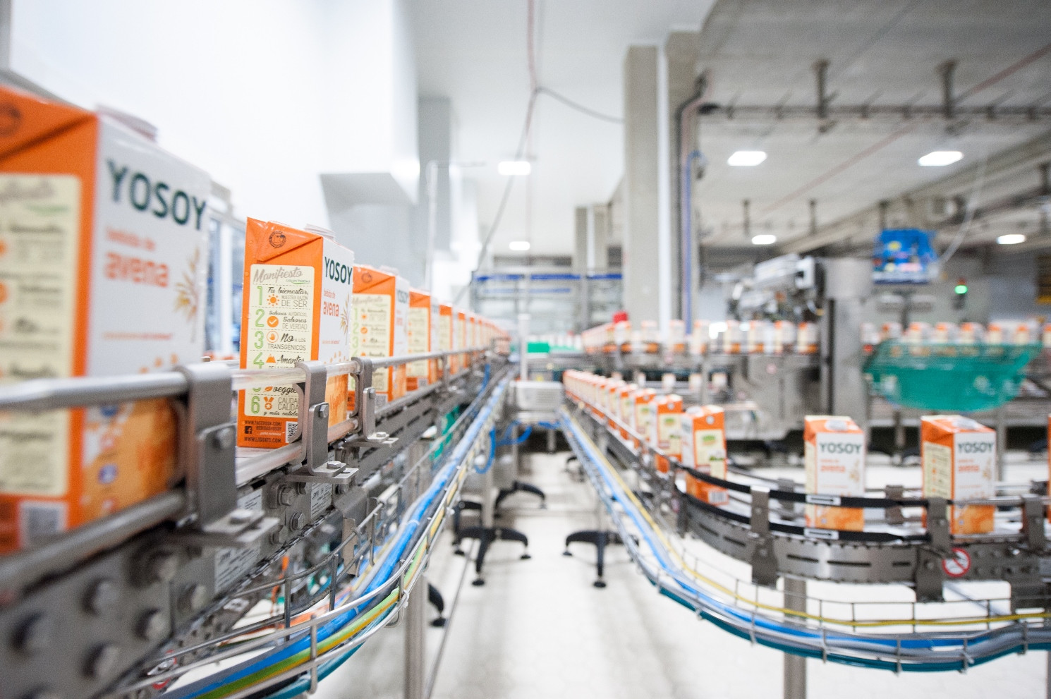LiquatsVegetals FabricaViladrau 1