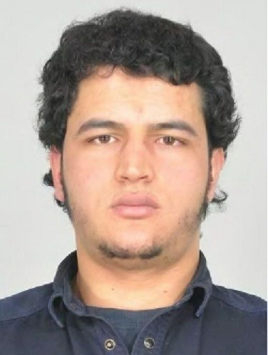 Anis
