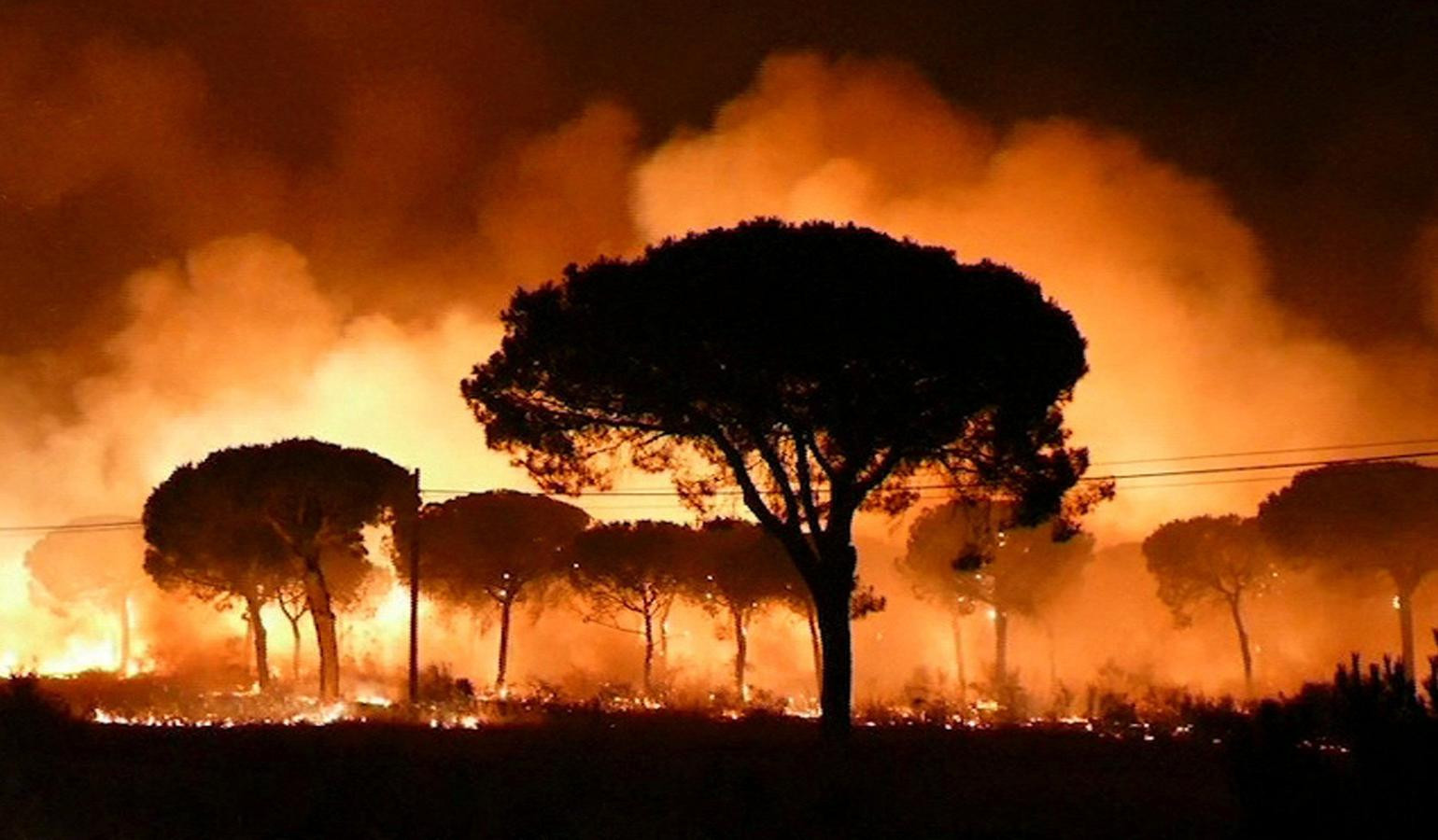 Incendiohuelvadonana