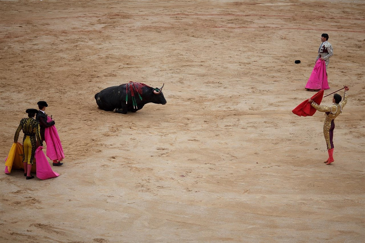 Toros3