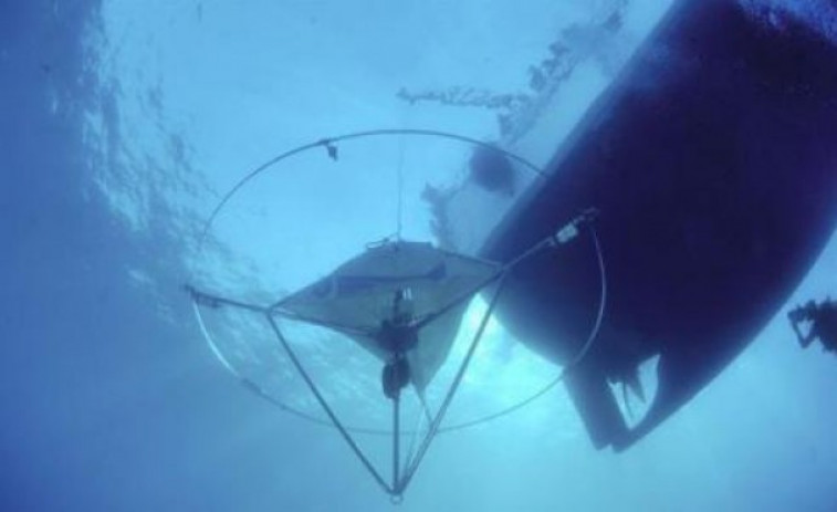 MedReAct fa una crida d'atenció a la Unió Europea en el Dia Mundial dels Oceans