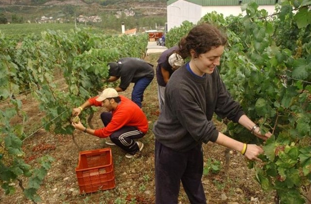 Temporeros lleida fruta 1