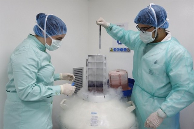 In vitro 1 1