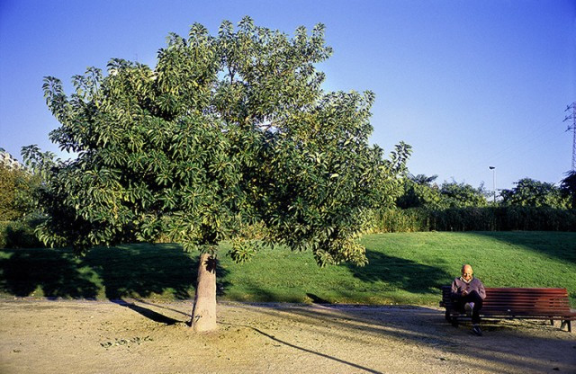 ParcdeBellvitge