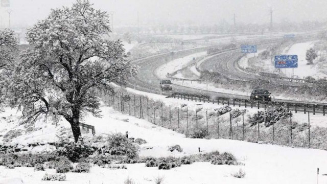 Temporal nieve 140118