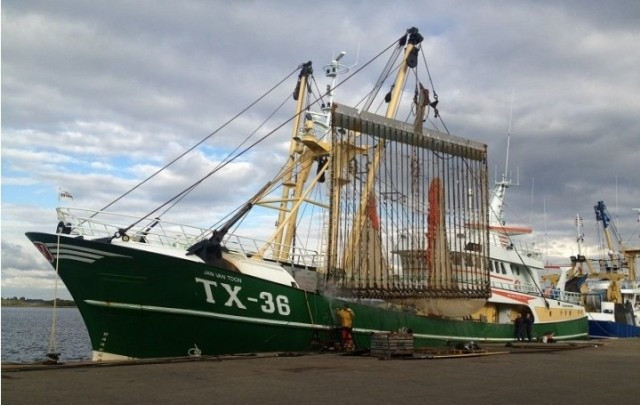Pesca elctrica europa
