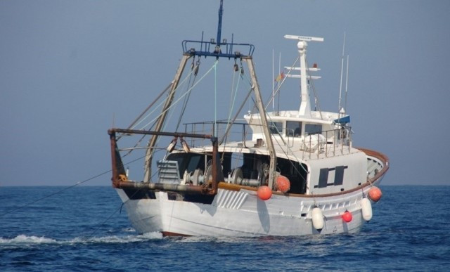 Pesca elctrica parlamento europeo 1