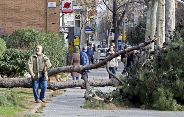 Viento bcn 1