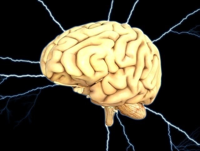 Cerebro epilepsia 06042018