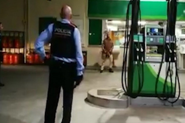 Mossosmotosierra