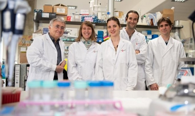 Investigadors de l'Hospital Clínic desxifren el genoma de la leucèmia