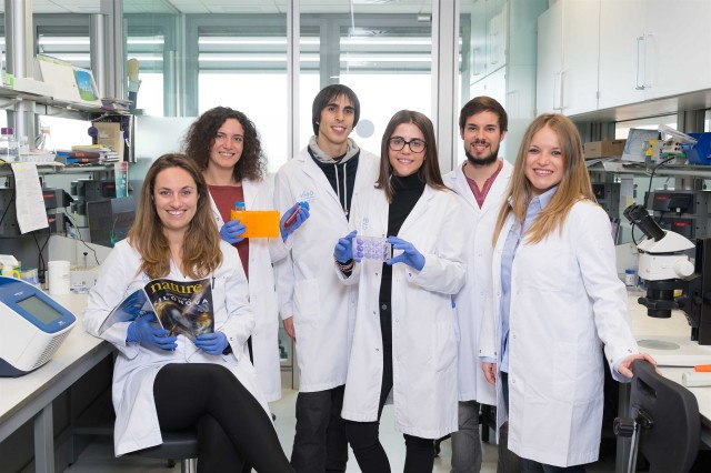 Ciencia