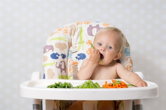 Baby comida