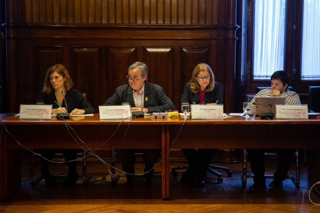 Comision155parlament