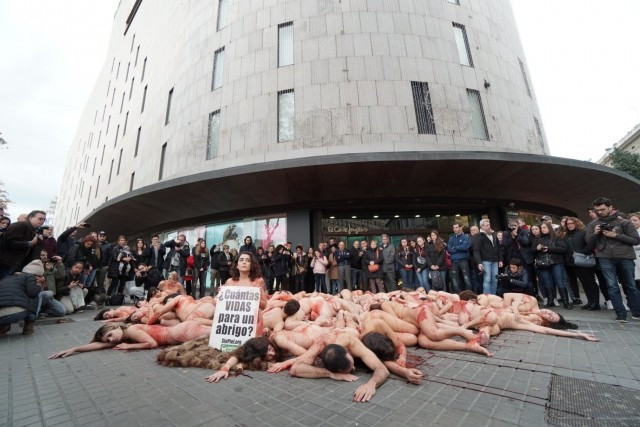 Protestanimales