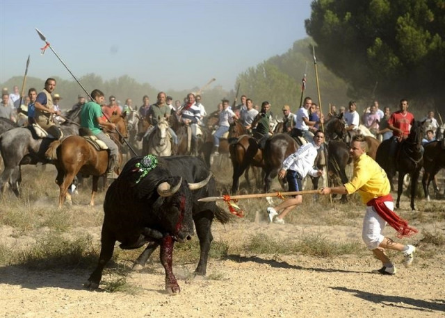 Torodelavegaimagen