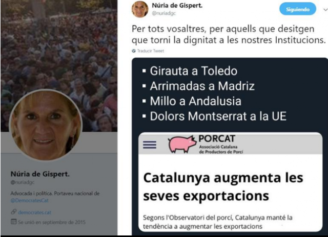 Tuitnuriadegispert