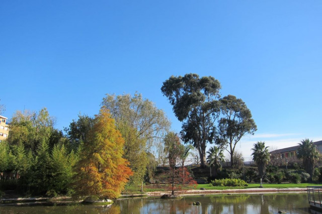 Paisaje