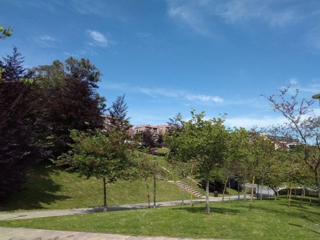 Paisaje 1