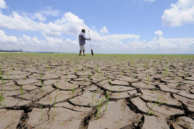 Canvi climàtic, 'ándeme yo caliente'…