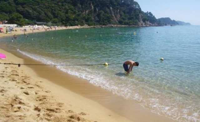 Playa 65711 1