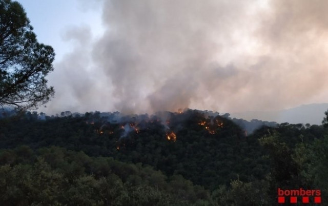 Incendiocapellades