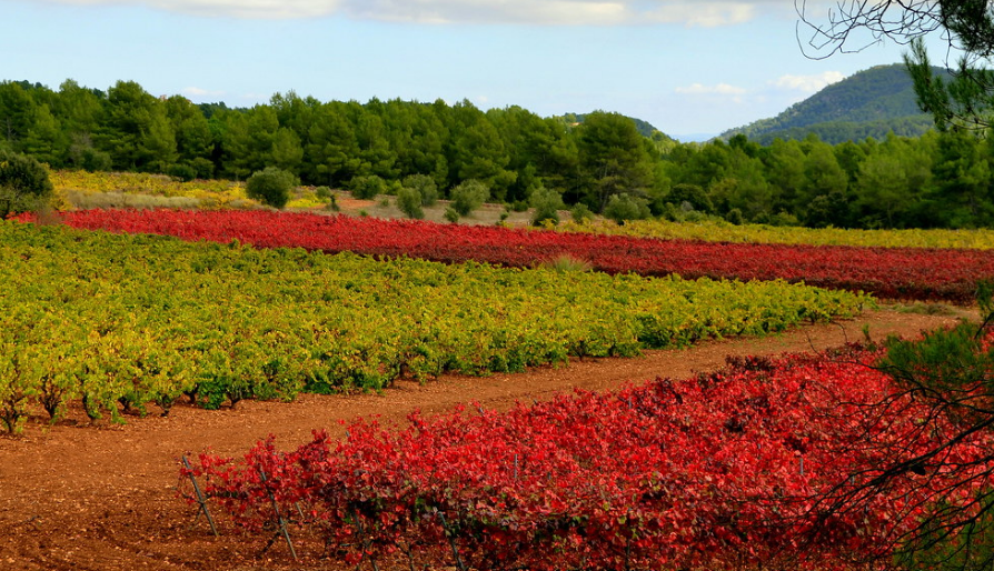 Baix Penedès