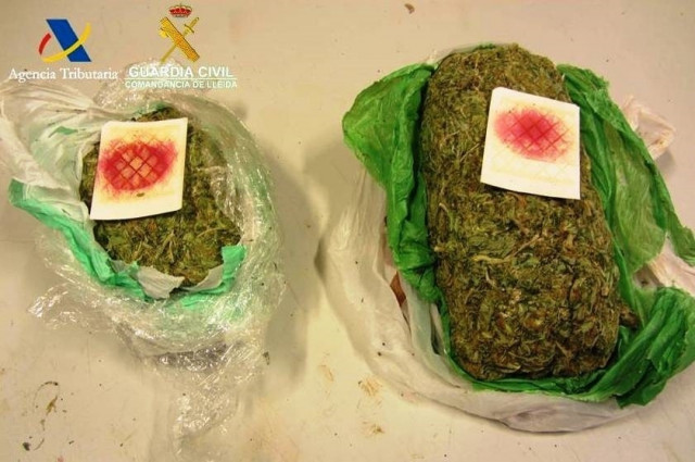 Detingut un jove a Lleida per enviar mig quilo de marihuana a Alemanya per correu