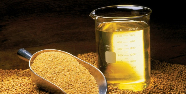 Vinculen l'oli de soja a canvis metabòlics i neurològics