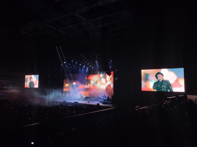 JoaquinSabinacaedelescenarioensuconciertoenMadrid