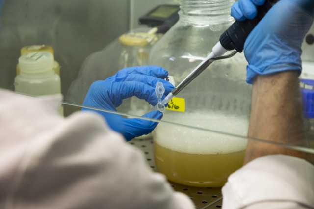 Csiclaboratorio
