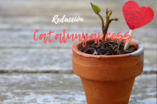 Catalunyapress2 1