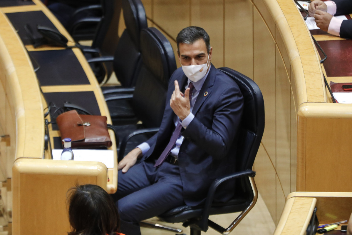 El presidente del Gobierno, Pedro Sánchez, en su comparecencia en el Senado