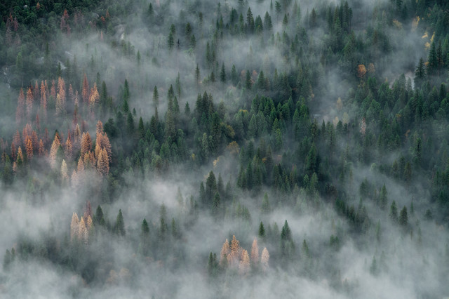 John towner 89PFnHKg8HE unsplash