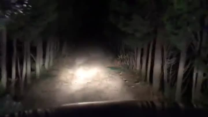 Busquedaperiodista