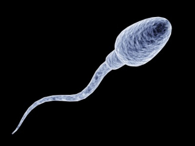 20200921111913