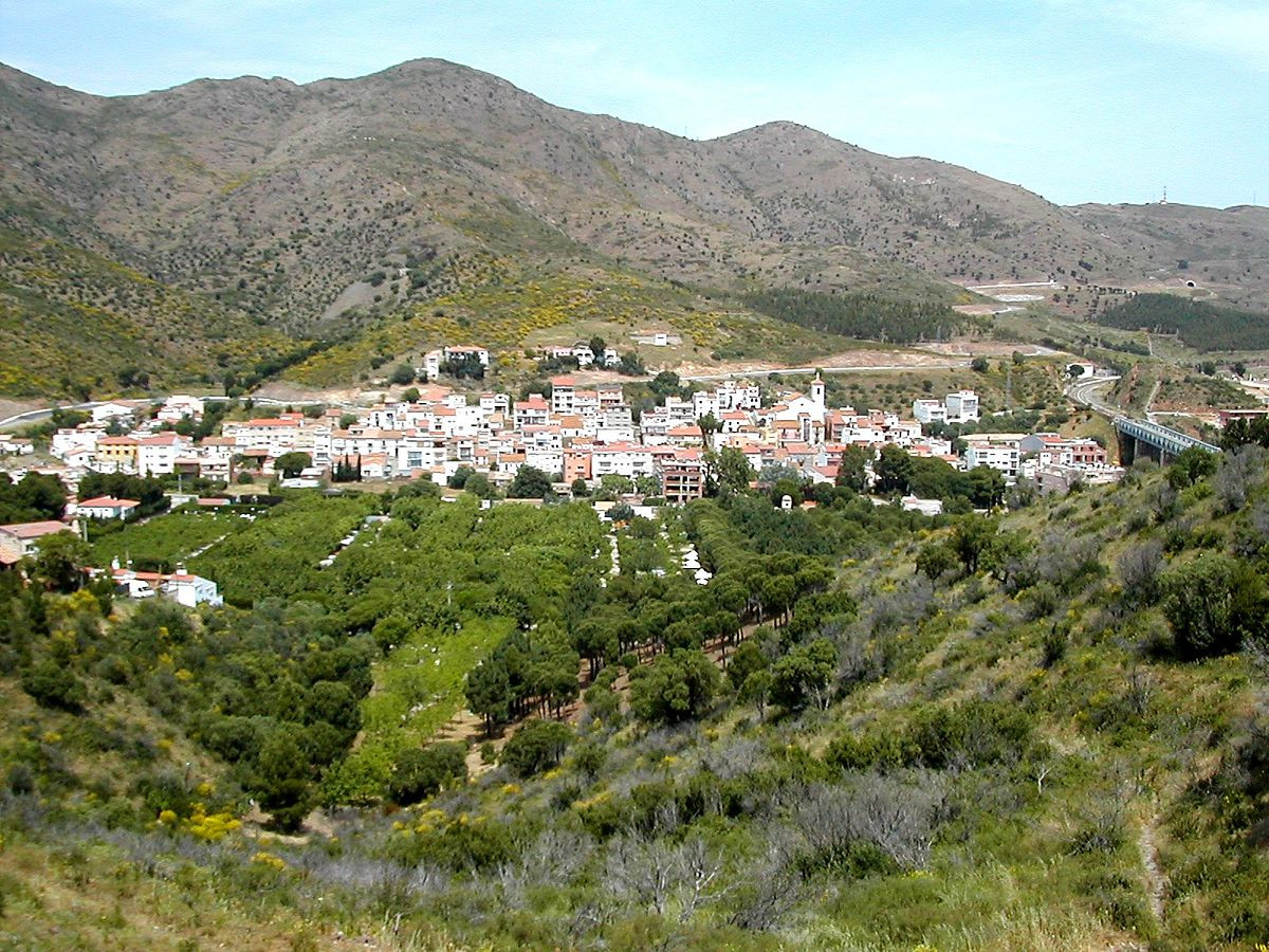 1200px Colera