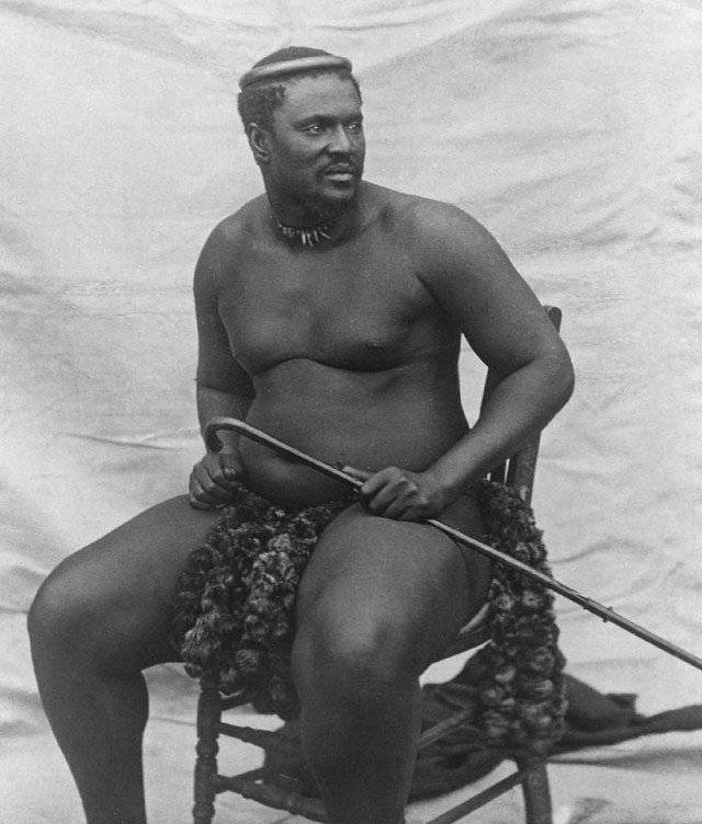 LibrosElimperiozuluElreyCetshwayo