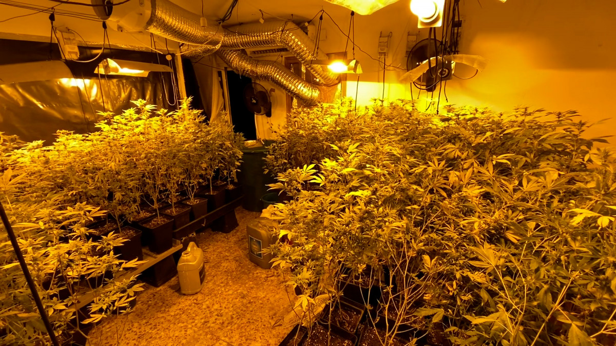 Marihuana interior