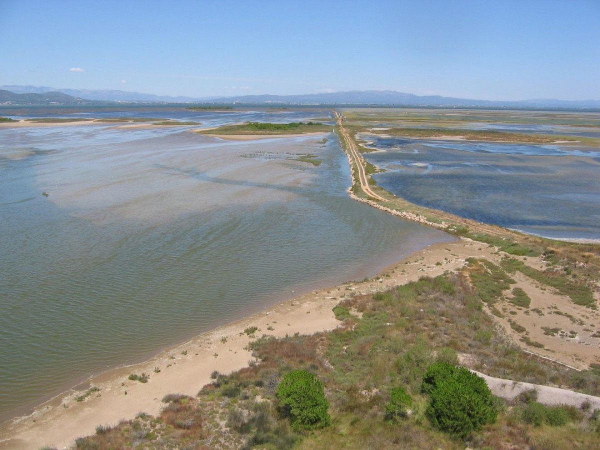Delta de l'Ebre