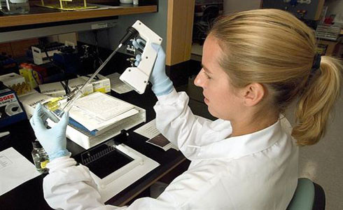 Laboratori