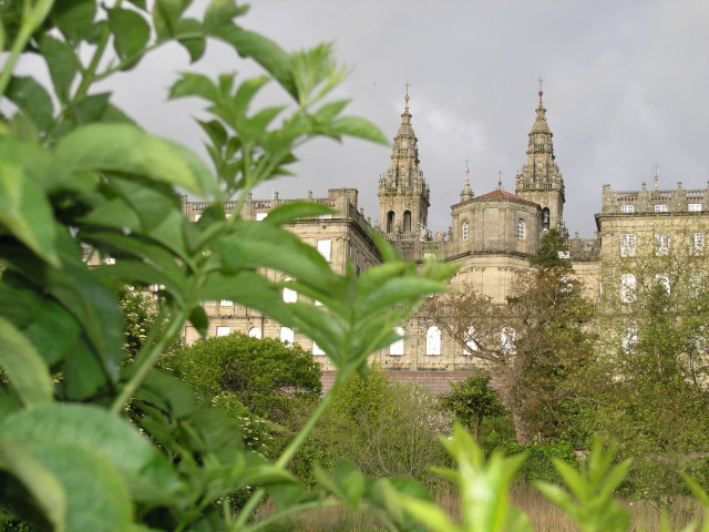 Vista Raxoi e Catedral