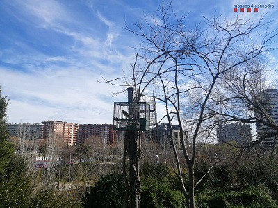 Ocells fuente mossos