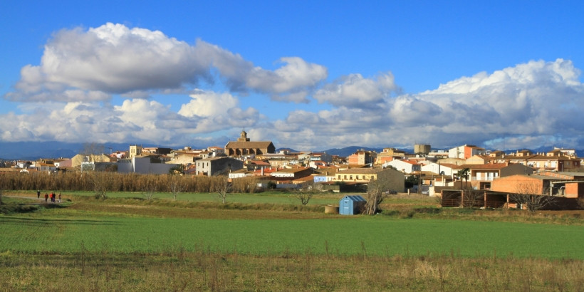 Vidreres
