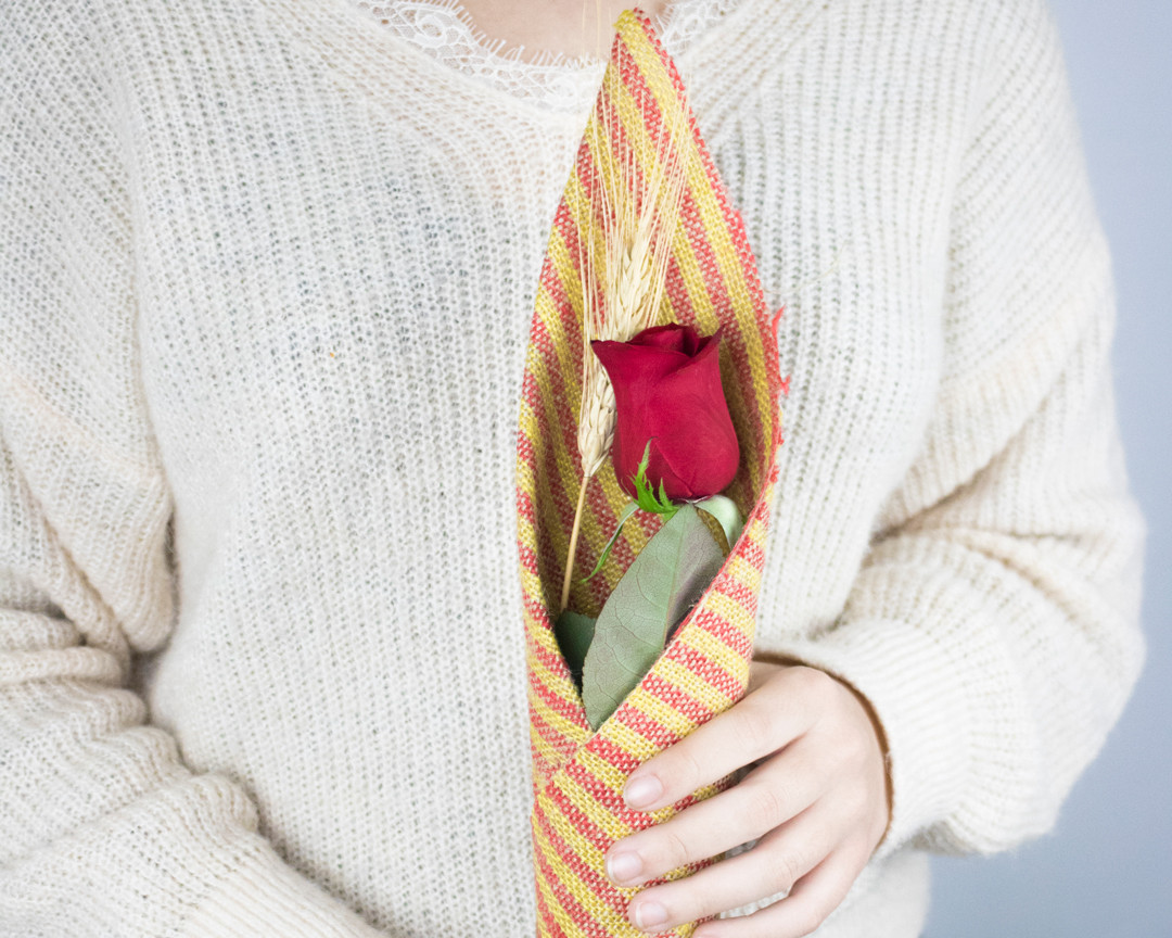 Rosa sant jordi horizontal