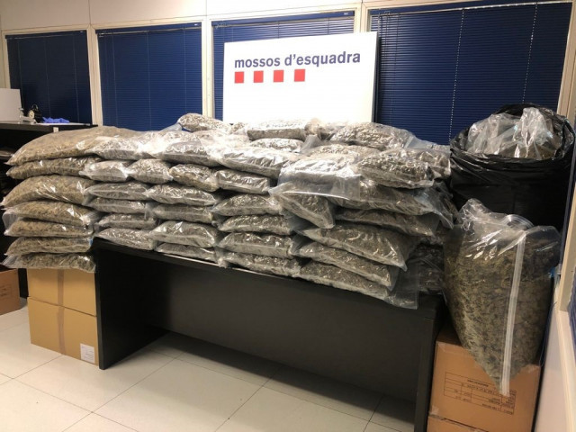 Detingut per tenir 150 quilos de marihuana a un pis de Lliçà