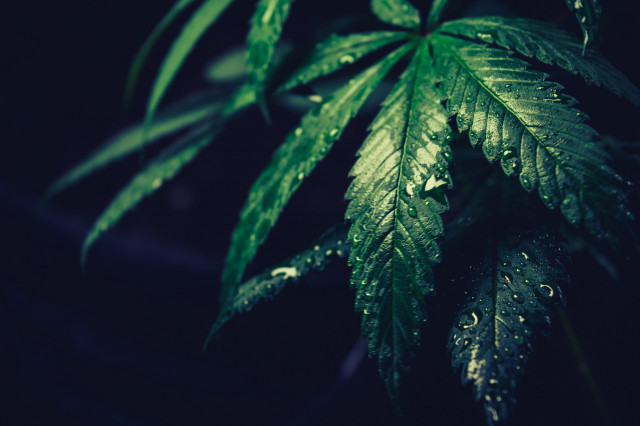 Estebanlopezn57RcHSs4WQunsplash1