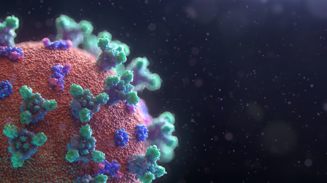 FusionmedicalanimationEAgGqOiDDMgunsplash