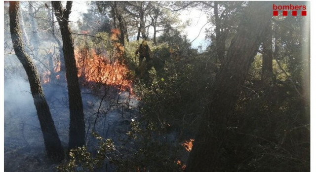 El Govern prorroga les restriccions per risc alt d'incendi fins al dimecres