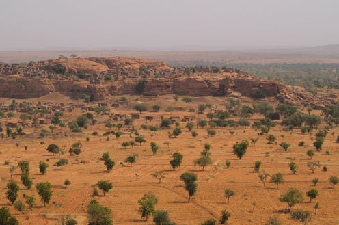 Un, dos, tres ... Un estudi recompta més de 1.500 milions d'arbres al Sàhara